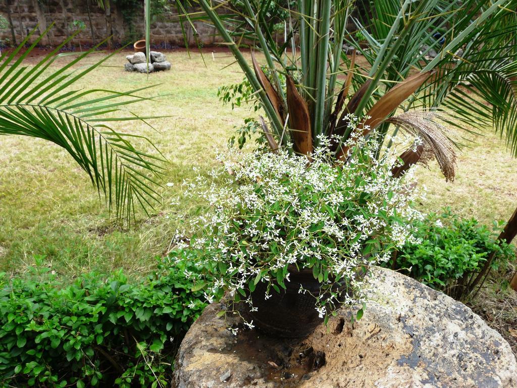 Maison Mitwaba Nairobi Dış mekan fotoğraf