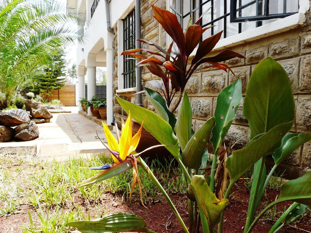 Maison Mitwaba Nairobi Dış mekan fotoğraf
